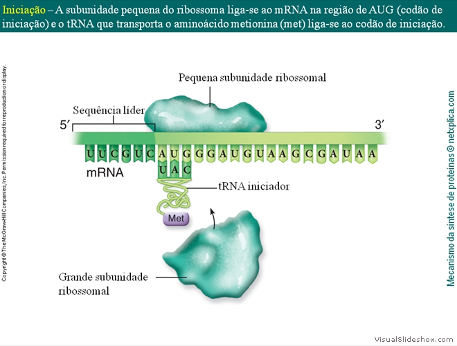 Diapositivo79