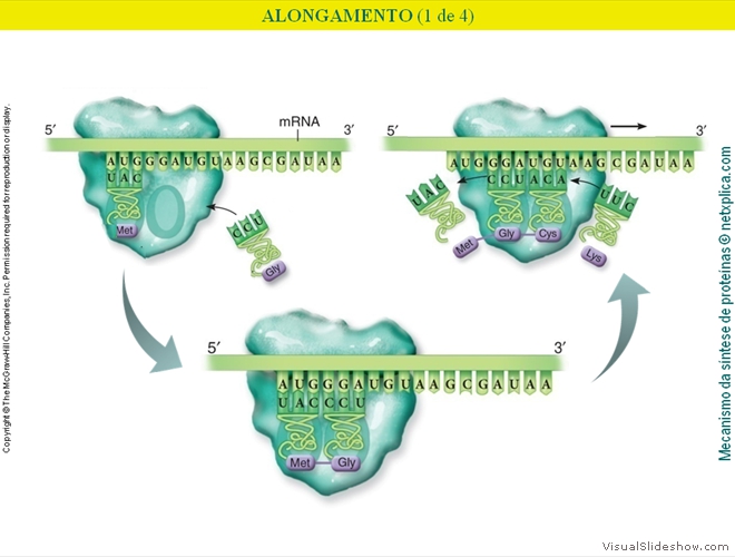 Diapositivo85