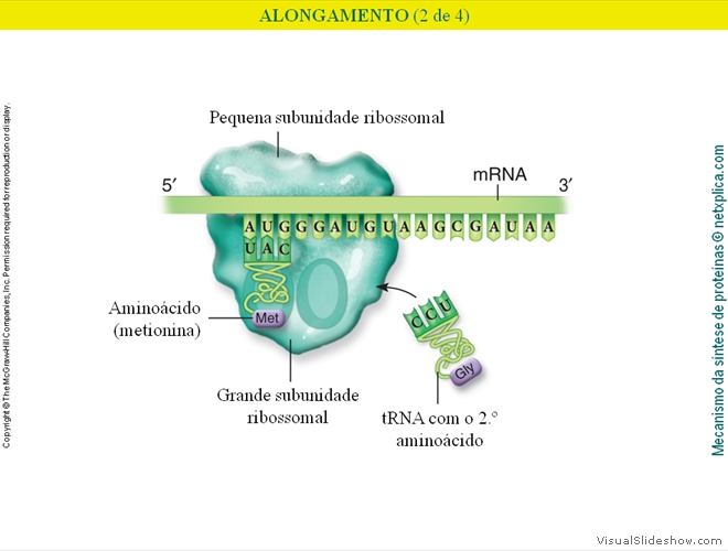 Diapositivo86