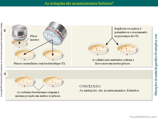 Diapositivo11