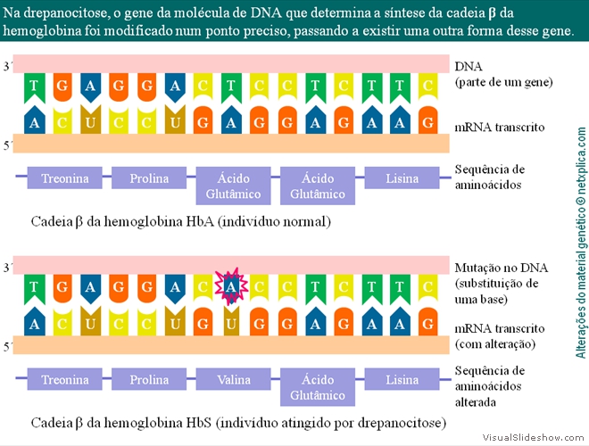 Diapositivo34