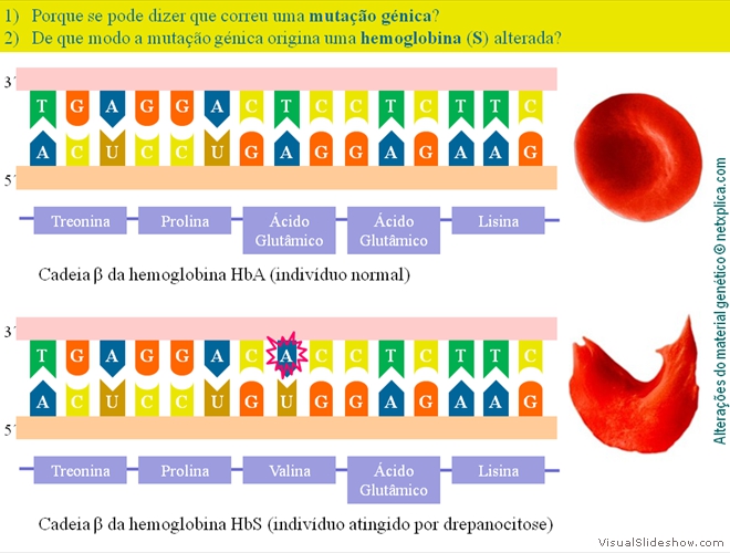 Diapositivo36