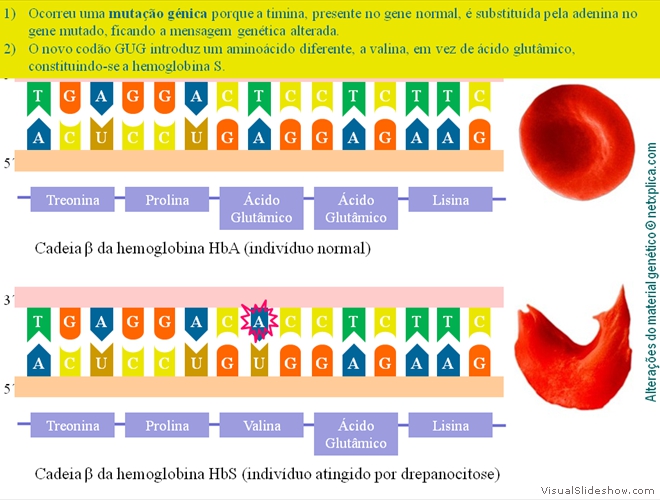 Diapositivo37