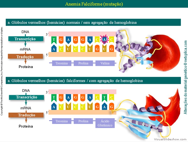 Diapositivo38