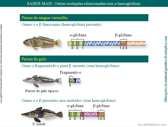 Diapositivo47