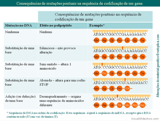 Diapositivo52