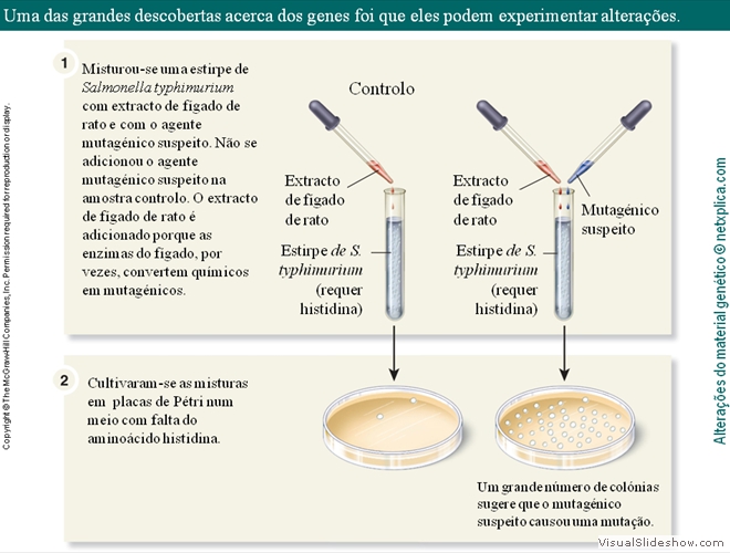 Diapositivo62