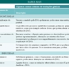 Diapositivo61