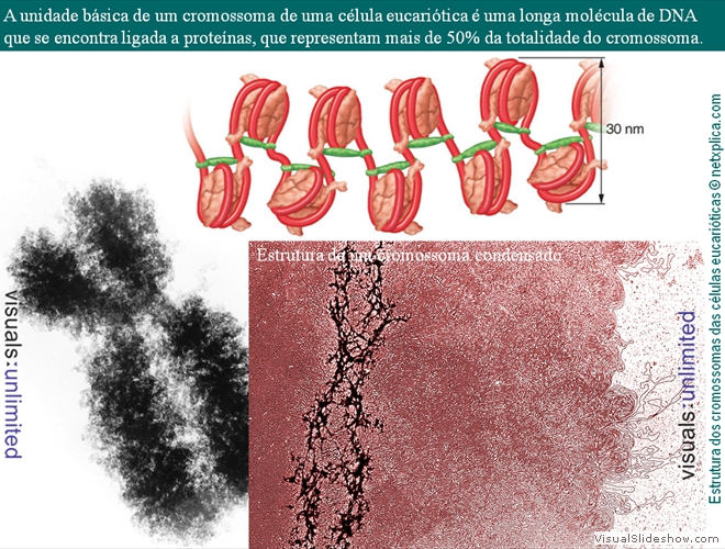 Diapositivo23