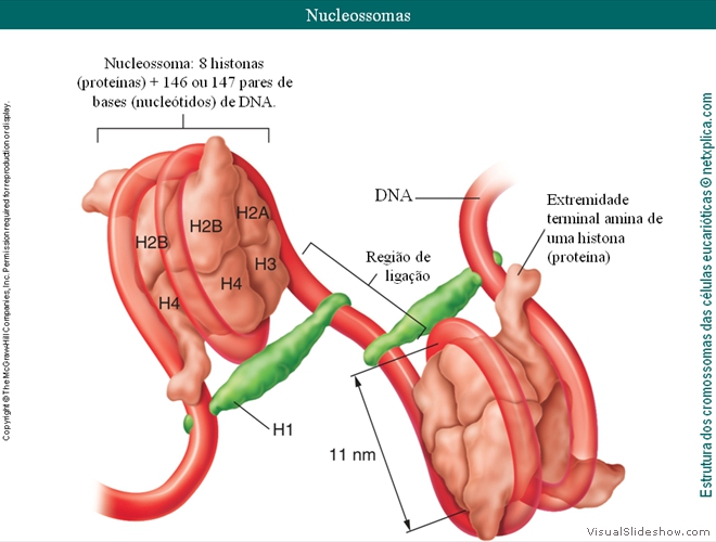 Diapositivo28