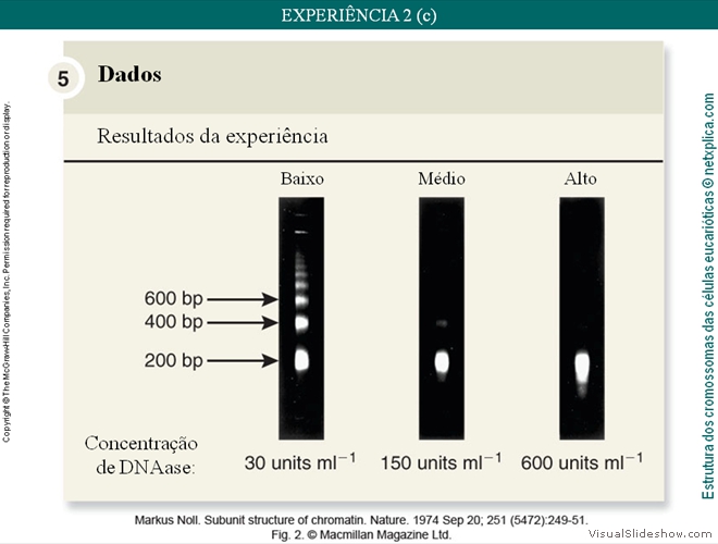 Diapositivo59