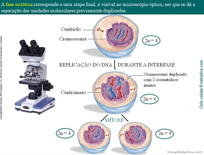 Diapositivo17