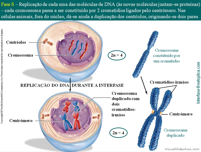 Diapositivo20