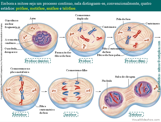 Diapositivo28