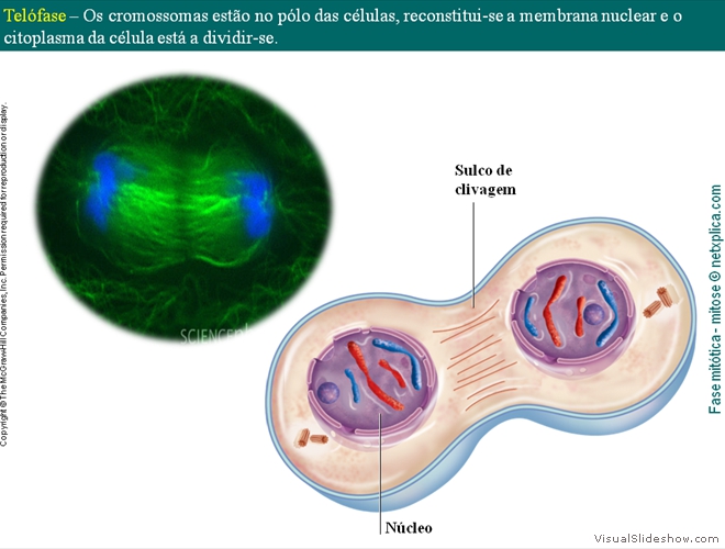 Diapositivo39