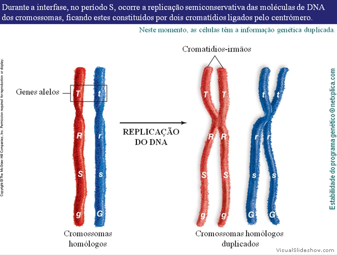 Diapositivo73