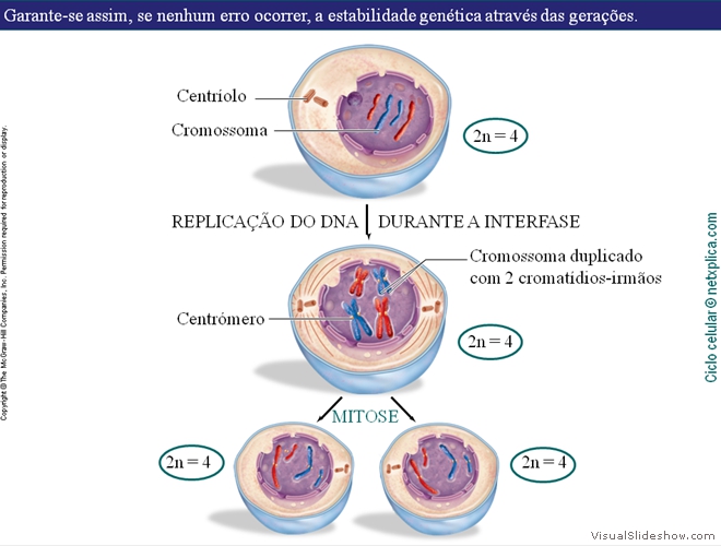 Diapositivo77