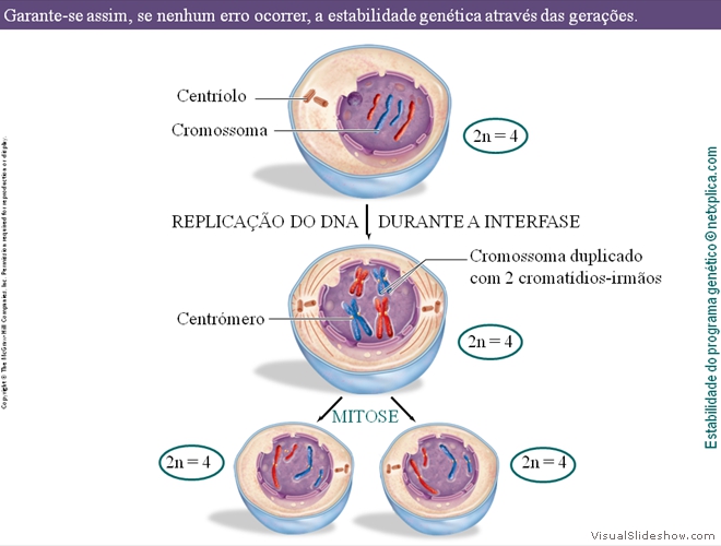 Diapositivo11