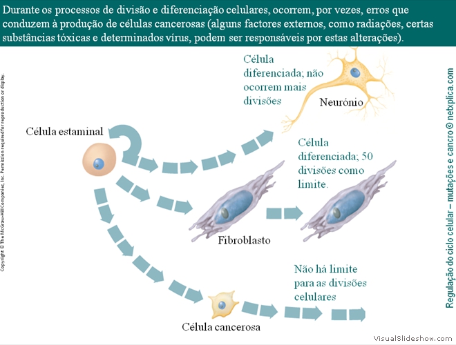 Diapositivo31