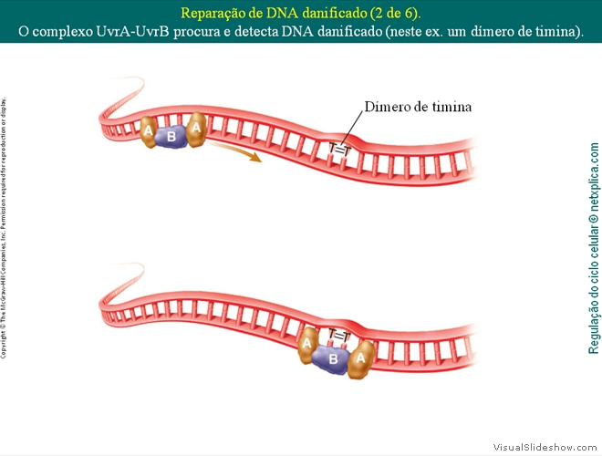 Diapositivo39