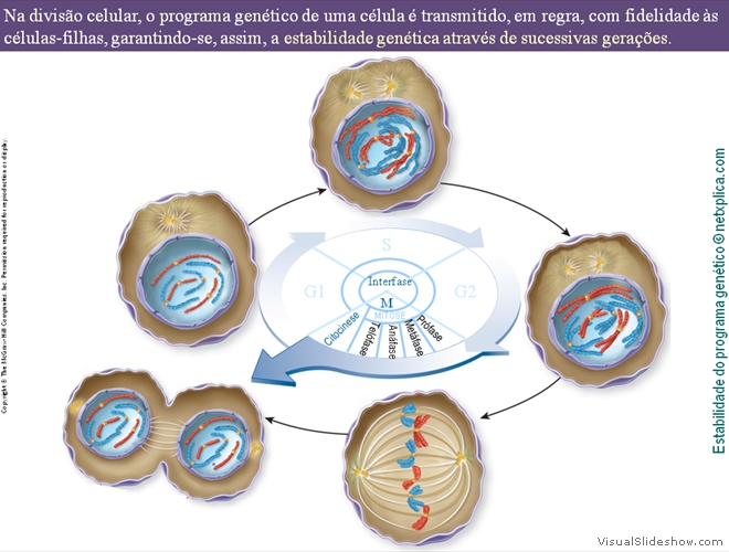 Diapositivo6