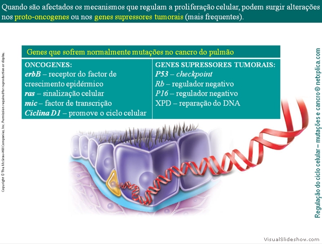 Diapositivo66