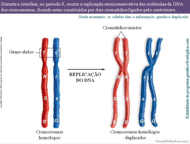 Diapositivo7