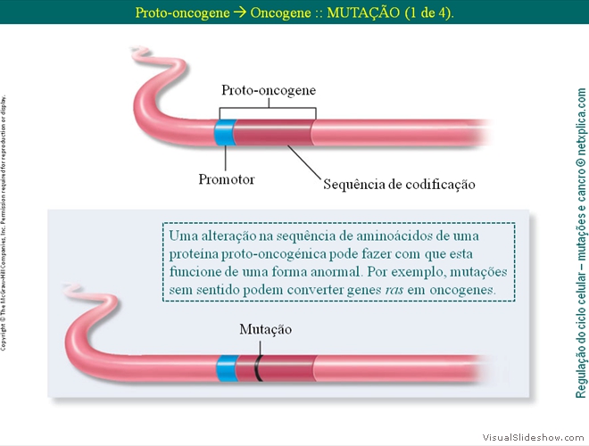 Diapositivo73