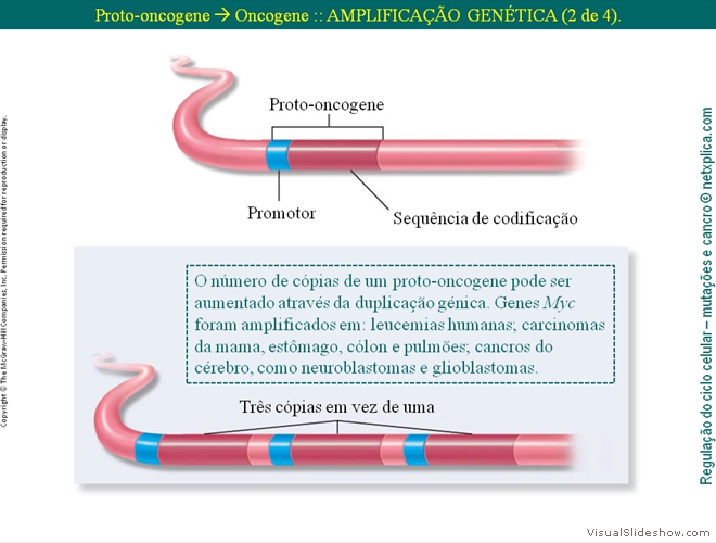 Diapositivo74