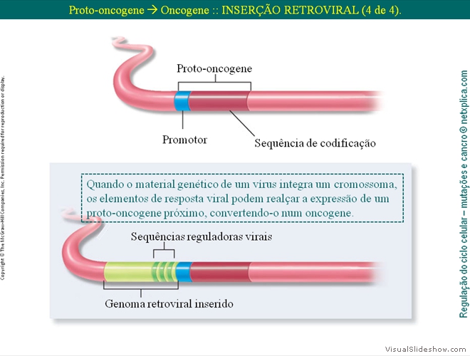 Diapositivo76