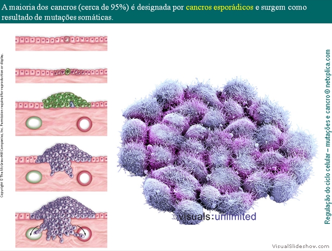 Diapositivo79