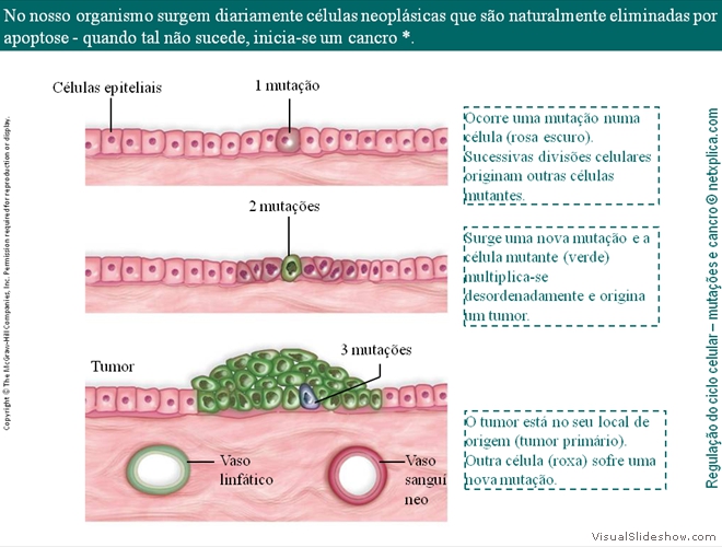 Diapositivo85