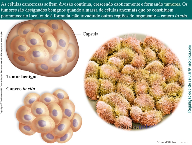 Diapositivo88