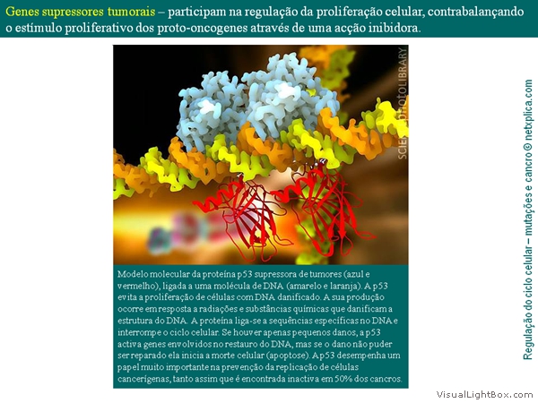 Diapositivo25