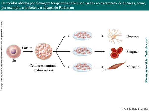 Diapositivo22