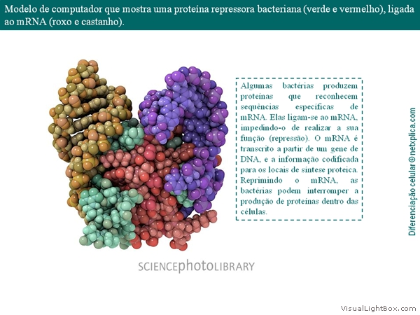 Diapositivo39