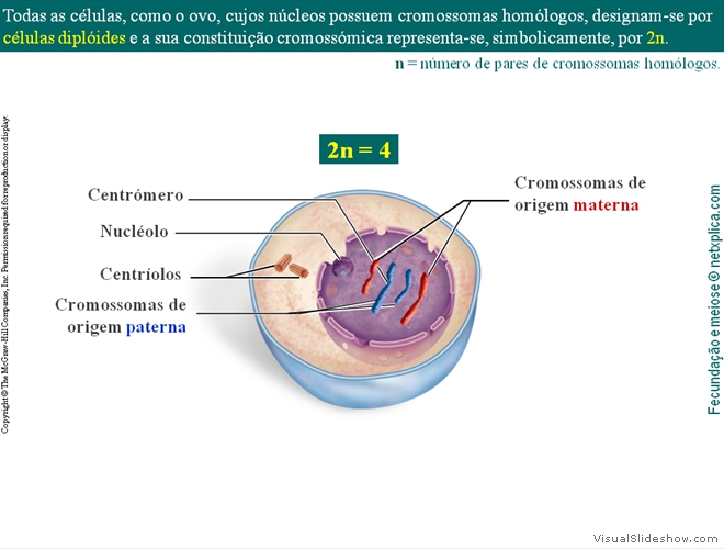 Diapositivo10