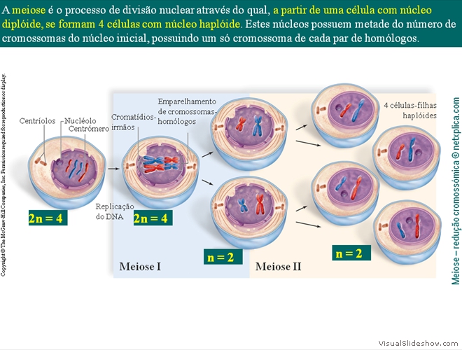 Diapositivo19