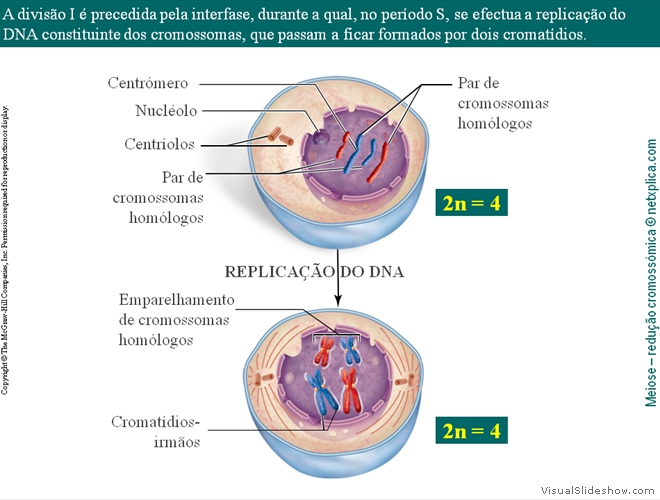 Diapositivo21