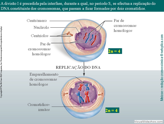 Diapositivo22