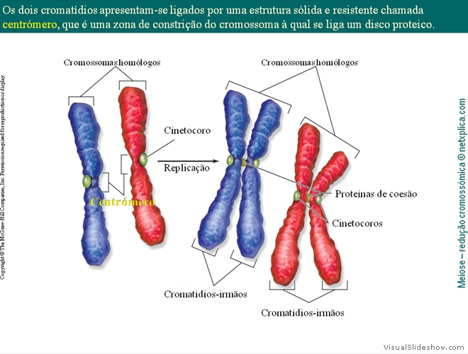 Diapositivo26