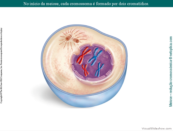 Diapositivo28