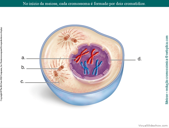 Diapositivo29