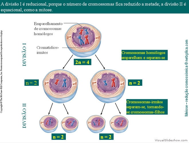 Diapositivo30