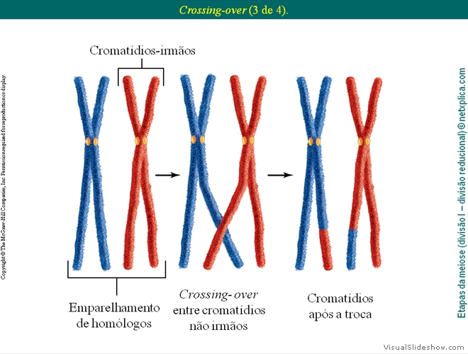 Diapositivo39