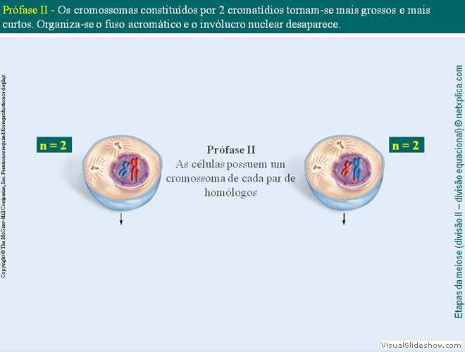 Diapositivo57