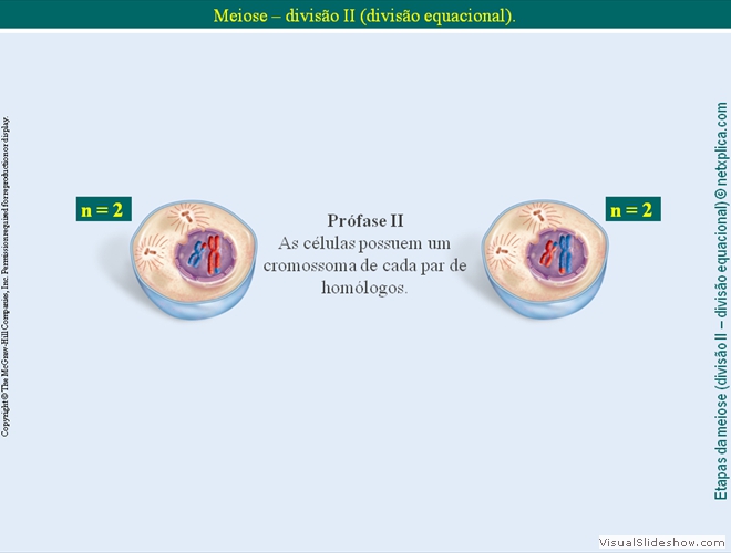 Diapositivo62