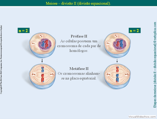 Diapositivo63