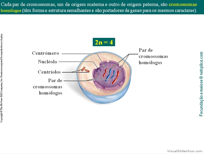 Diapositivo9