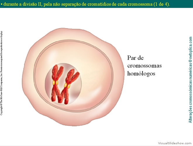 Diapositivo10